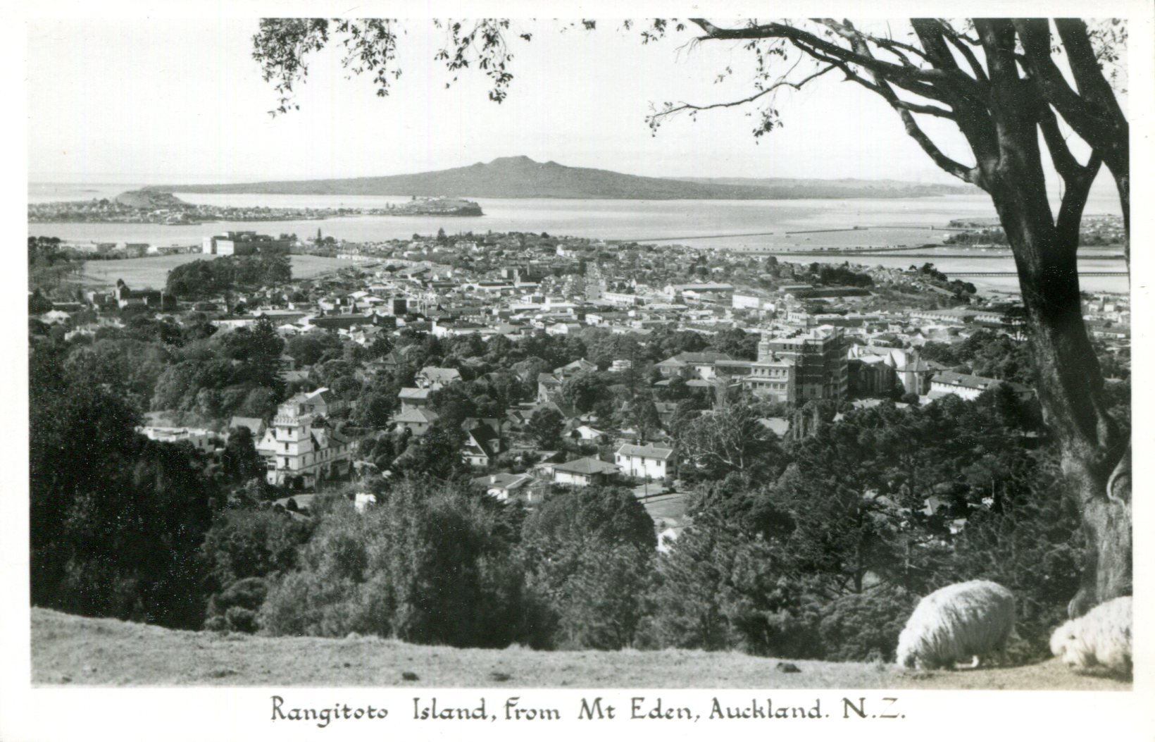 Rangitoto Island Auckland