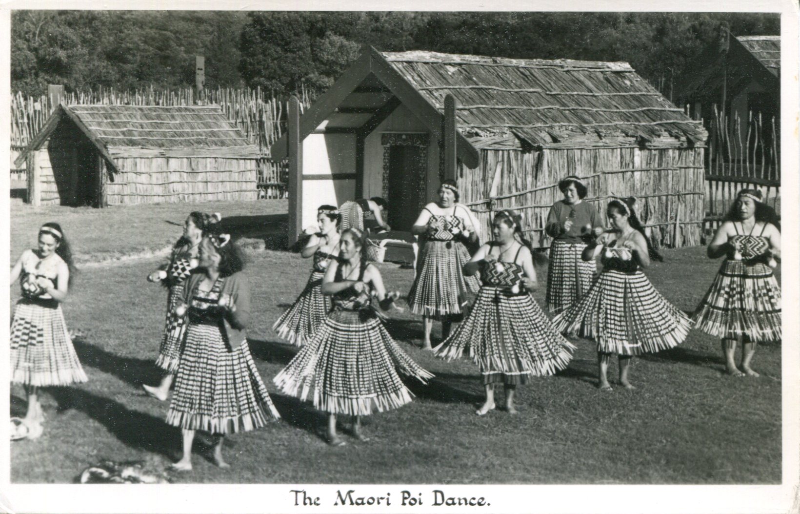 Rotorua The Maori Poi Dance
