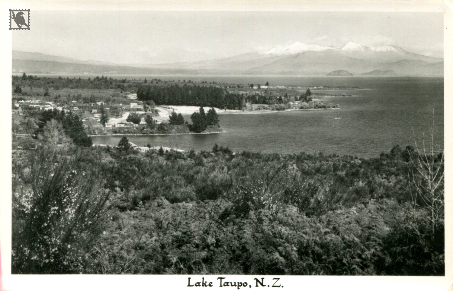 Lake Taupo
