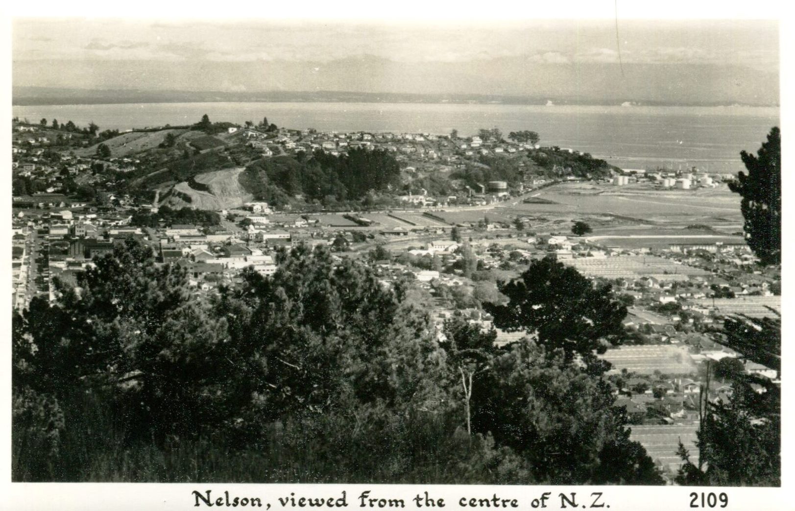Nelson from the Centre of New Zealand