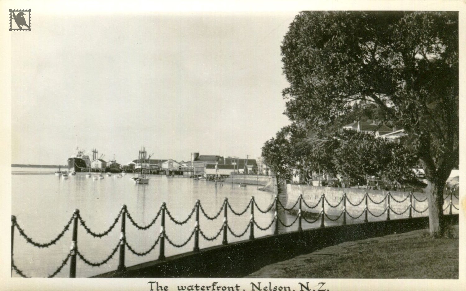 Nelson The Waterfront