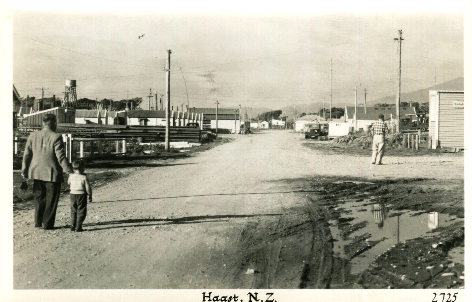 Haast Township West Coast