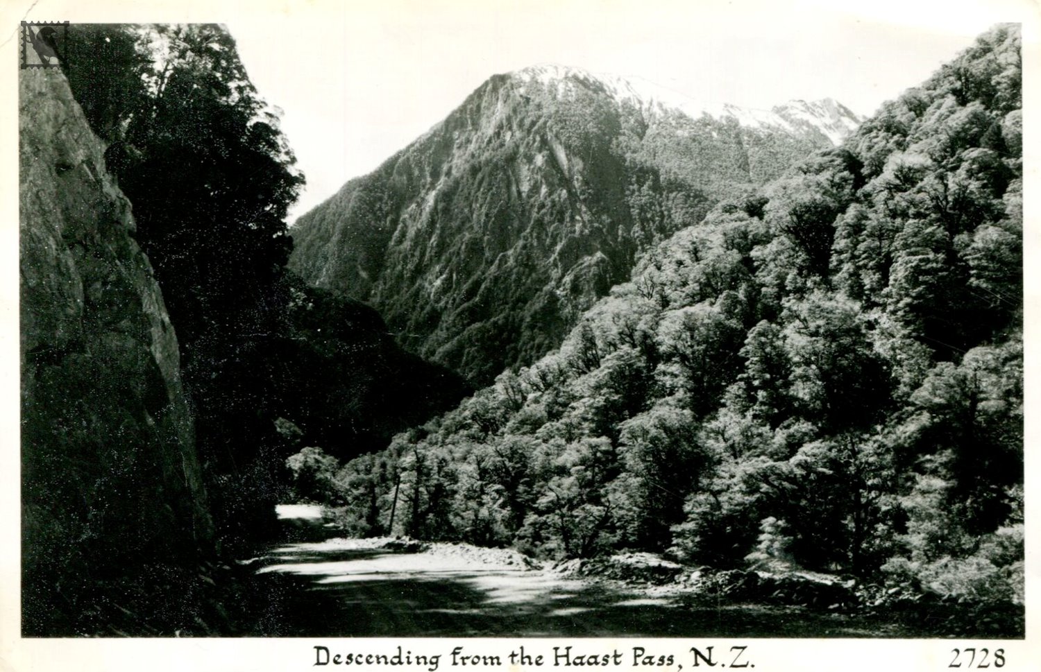 West Coast Descending from the Haast Pass