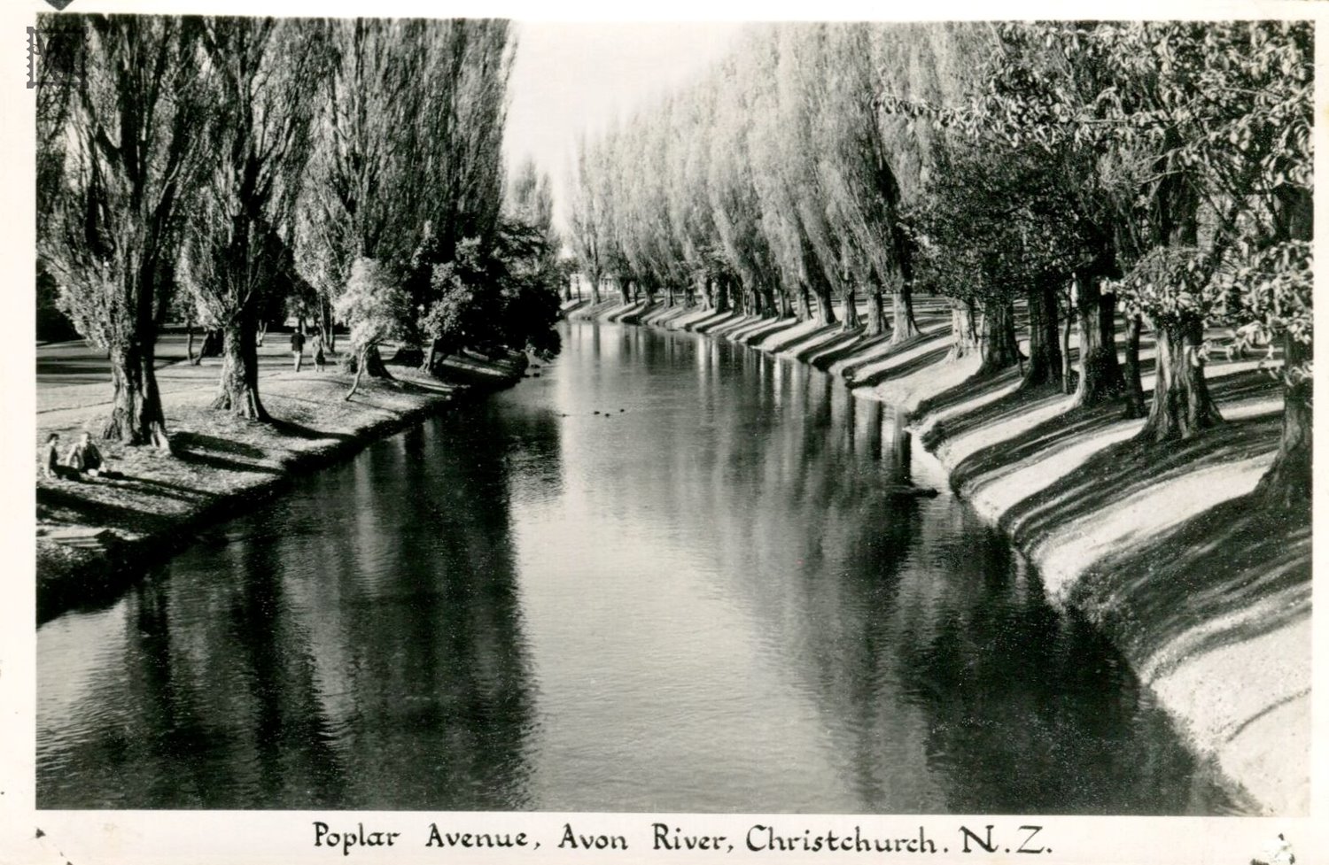 Christchurch - Avon River Poplar Avenue