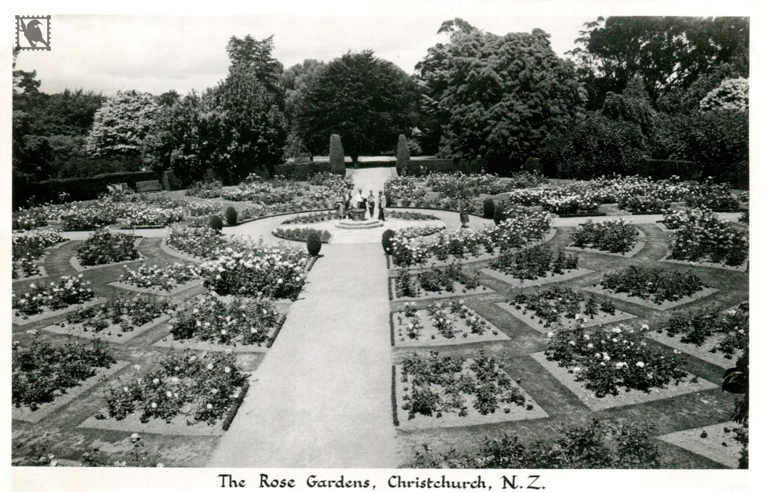 Christchurch The Rose Gardens (1)