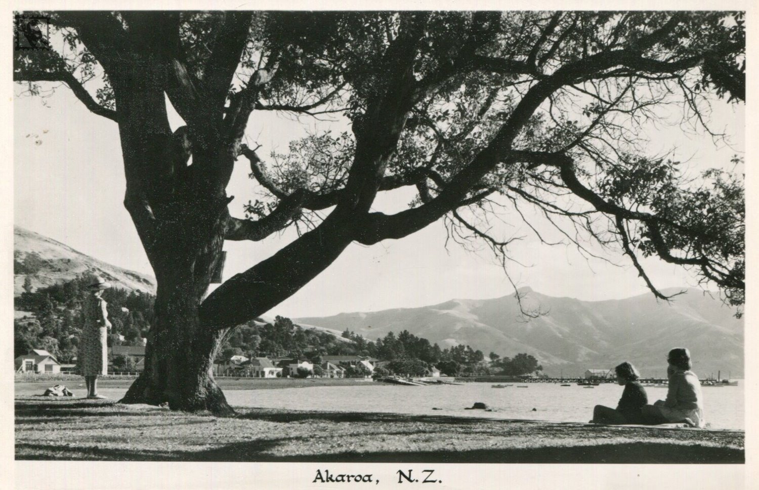 Akaroa View of the Beach