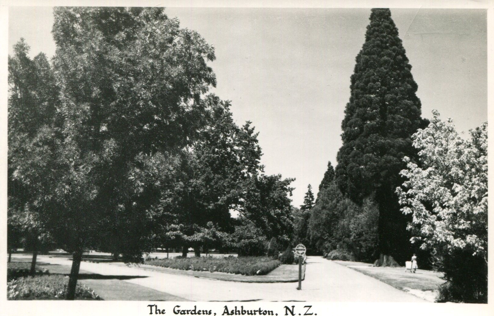 Ashburton The Gardens