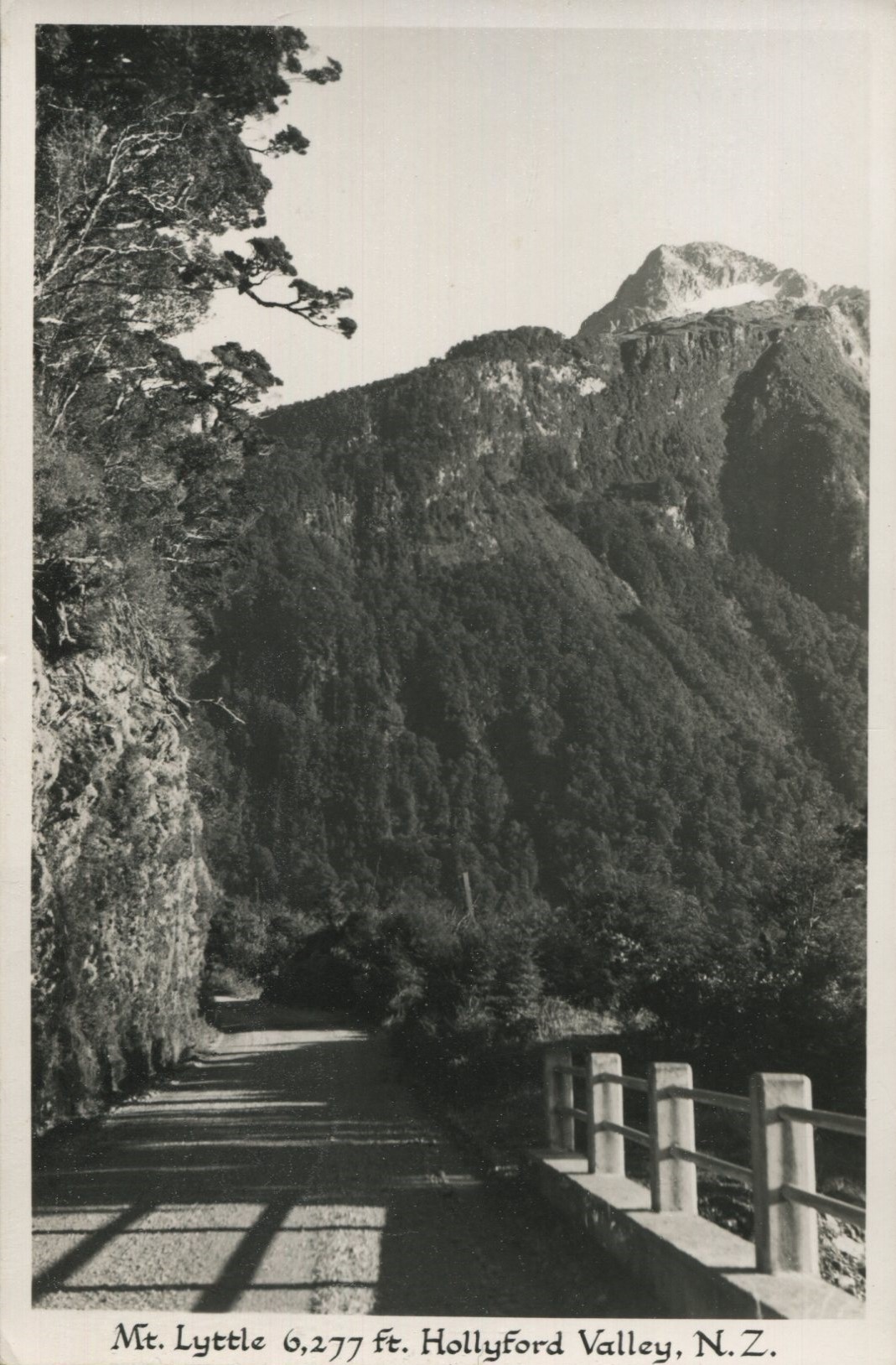 Fiordland - Mt Lyttle, Hollyford Valley