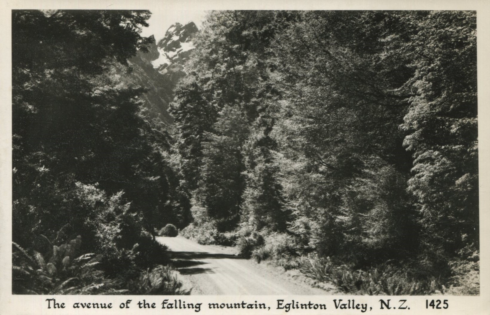 Fiordland - Eglinton Valley - The Avenue Of The Falling Mountain